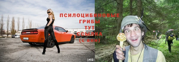 дмт Армянск