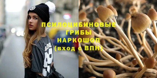 мескалин Аркадак
